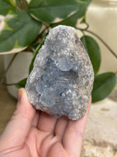 Load image into Gallery viewer, Blue Celestite Cluster #20
