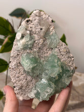 Load image into Gallery viewer, Pinky ~ Green Apophyllite Cut Base #174
