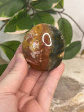 Load image into Gallery viewer, Sea Jasper Palm #16C
