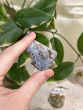 Load image into Gallery viewer, Ocean Jasper Half Polished Slices #6
