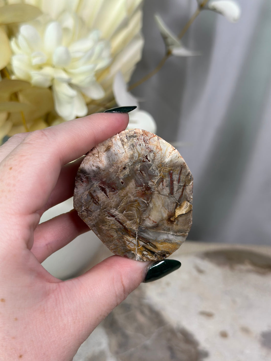 Petrified Wood Slab #15B
