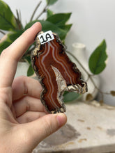 Load image into Gallery viewer, Carnelian Slice~ 1A
