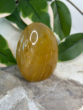 Load image into Gallery viewer, Golden Healer Freeform #40
