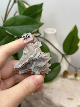 Load image into Gallery viewer, Fairy Forest Specimen 2G
