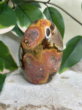 Load image into Gallery viewer, Imperfect Polychrome Jasper Freeform #73
