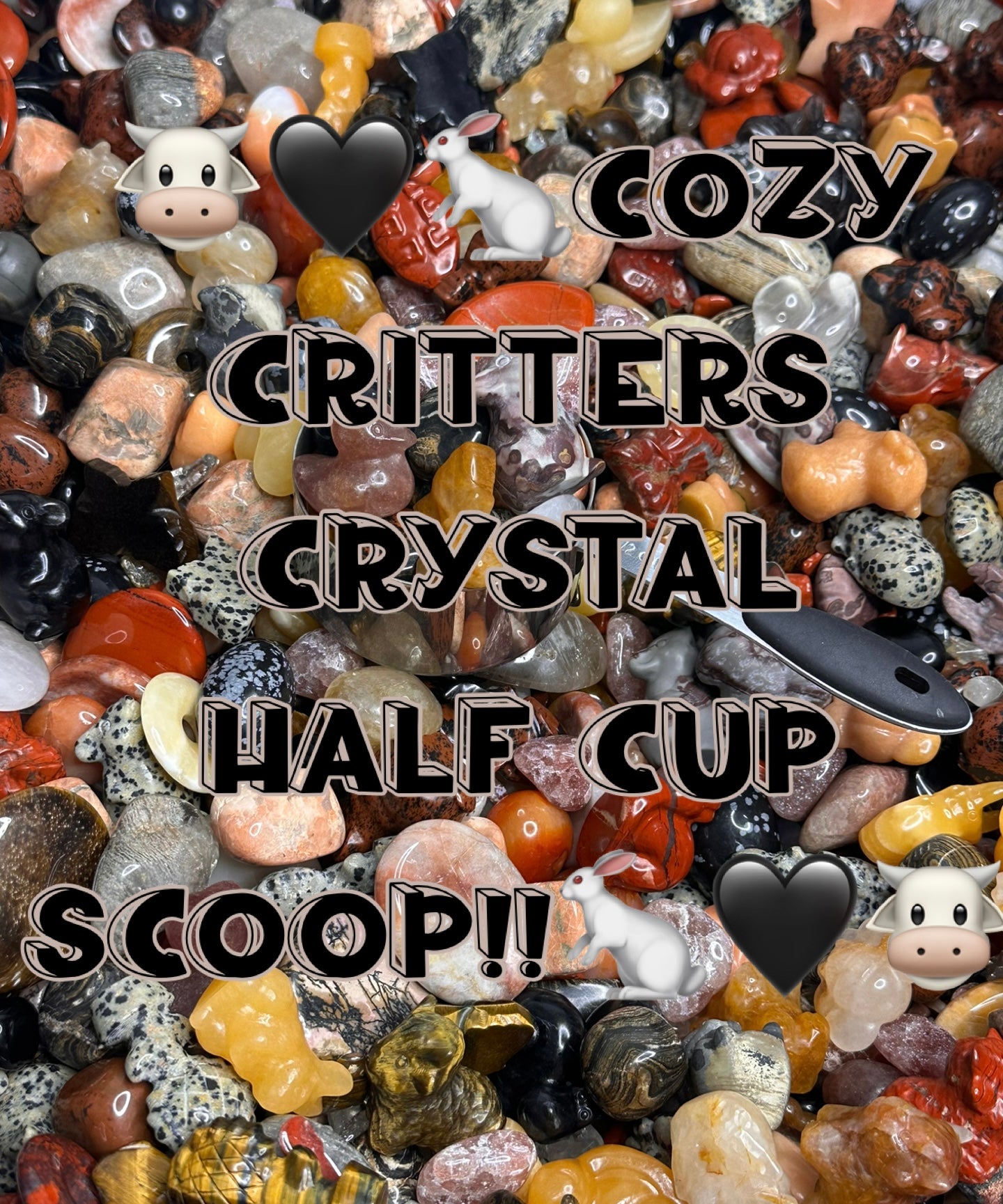 Cozy Critters Crystal 1/2 Cup Scoop!!