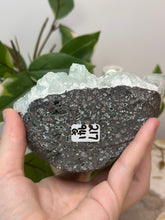 Load image into Gallery viewer, Glass Green Apophyllite + Snowballs #217
