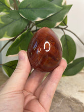 Load image into Gallery viewer, Carnelian Egg #27
