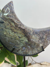 Load image into Gallery viewer, Pink/Moss Agate Moon On Stand #160A

