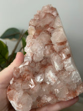 Load image into Gallery viewer, Red/Pink Cubical Apophyllite Cluster #180
