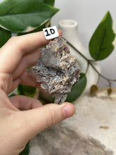 Load image into Gallery viewer, Fairy Forest Specimen 1D
