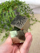 Load image into Gallery viewer, *Collectors Piece* Cubic Pyrite From Spain #C
