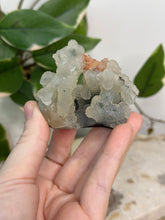 Load image into Gallery viewer, Blue Velvet Mini Cluster #70
