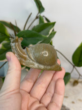 Load image into Gallery viewer, Picture Jasper Snail
