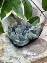 Load image into Gallery viewer, Blue Velvet Cluster #133
