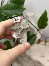 Load image into Gallery viewer, Fairy Forest Specimen 2E
