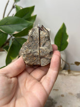 Load image into Gallery viewer, Carnelian Geode Pair~ C
