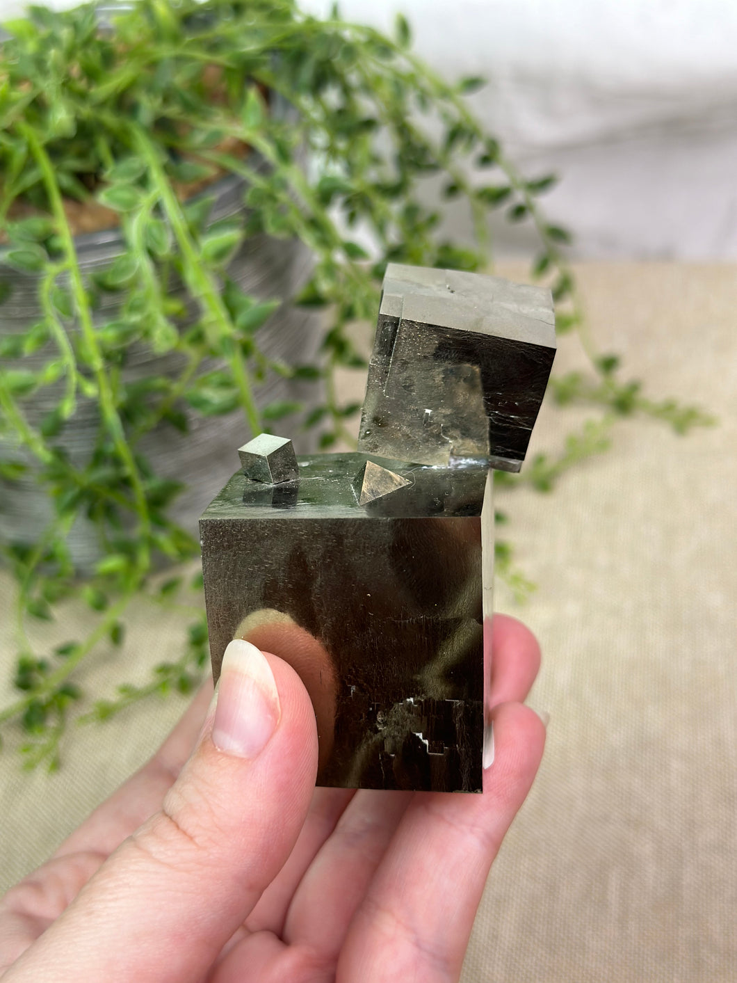 *Collectors Piece* Cubic Pyrite From Spain #B