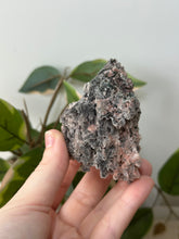 Load image into Gallery viewer, Crystallised Apophyllite~Tiny Peach Stillbite Petals~Pink/Red/Coral/Green Chalcedony Specimens #85
