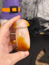 Load image into Gallery viewer, Carnelian Mushrooms #24
