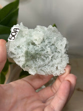 Load image into Gallery viewer, Crystal Green Apophyllite~Crystallised Sugary Prehnite Specimens #50
