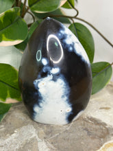 Load image into Gallery viewer, Orca Agate Freeform #70
