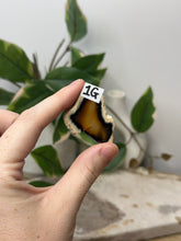 Load image into Gallery viewer, Carnelian Slice~ 1G
