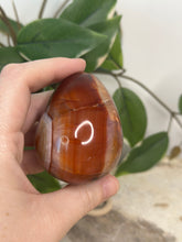 Load image into Gallery viewer, Carnelian Egg #34
