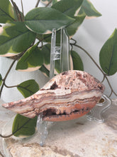 Load image into Gallery viewer, Pink Crazy Lace Agate Tear Drop *Imperfect*
