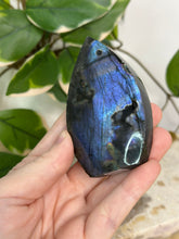 Load image into Gallery viewer, Spectrolite Flame #80
