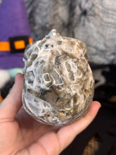 Load image into Gallery viewer, Druzy Skull #155
