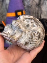 Load image into Gallery viewer, Druzy Skull #150
