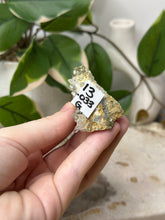 Load image into Gallery viewer, Iridescent Pyrite On Quartz Specimen #13A
