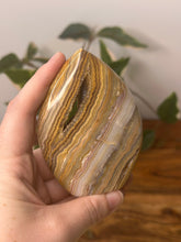 Load image into Gallery viewer, Yellow Crazy Lace Agate Flame #74
