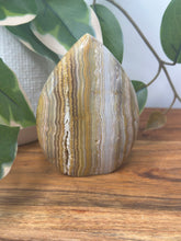 Load image into Gallery viewer, Yellow Crazy Lace Agate Flame #81
