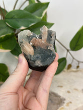 Load image into Gallery viewer, Blue Velvet Mini Cluster #78
