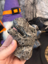 Load image into Gallery viewer, T-Rex Heads
