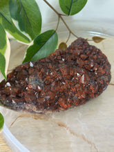 Load image into Gallery viewer, Alien Amethyst~Shimmery Deep Red/Purple Amethyst with Hematite Inclusions Cluster #230
