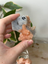 Load image into Gallery viewer, Sugary Peach Stillbite On Vibrant Blue Chalcedony Specimen #49
