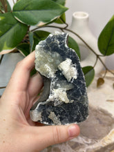 Load image into Gallery viewer, Blueberry Crunch Cluster #80
