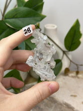 Load image into Gallery viewer, Fairy Forest Specimen 2B
