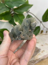 Load image into Gallery viewer, Blue Velvet Mini Clusters #60
