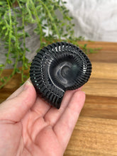 Load image into Gallery viewer, Black Obsidian Ammonite Carvings
