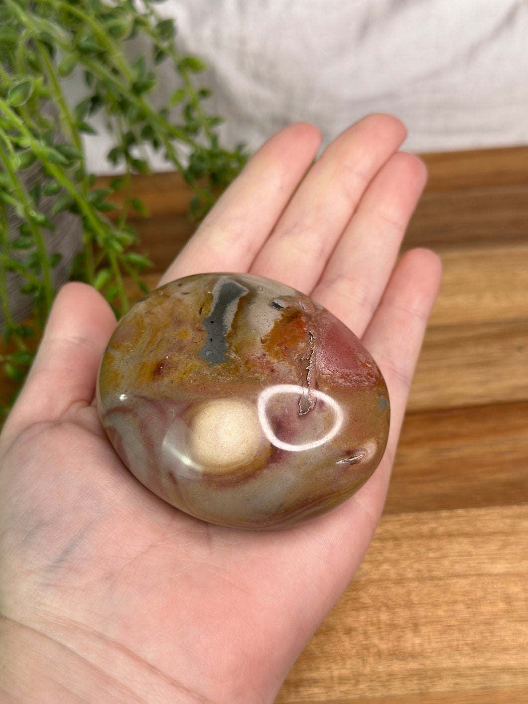 Polychrome Jasper Palmstone #25