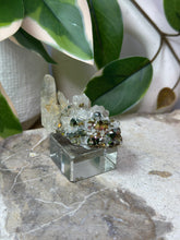 Load image into Gallery viewer, Iridescent Pyrite On Quartz Specimen #13B

