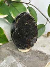 Load image into Gallery viewer, Septarian Dragon Druzy Egg
