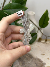 Load image into Gallery viewer, Fairy Forest Specimen 2H
