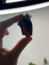 Load image into Gallery viewer, Carnelian Slice~ 1D
