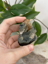 Load image into Gallery viewer, Blue Velvet Mini Cluster #57A

