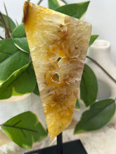 Load image into Gallery viewer, Druzy Agate Freeform On Stand #110

